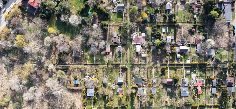 Czy warzywa i owoce zrywane z działek usytuowanych w mieście są zdrowe? Badania pestycydów i metali ciężkich na ogrodach działkowych w Warszawie