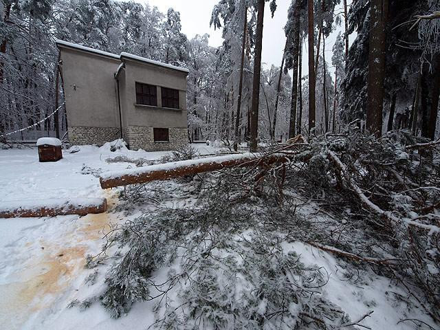 Galeria Polska - katastrofalna zima w Ojcowskim Parku Narodowym, obrazek 20