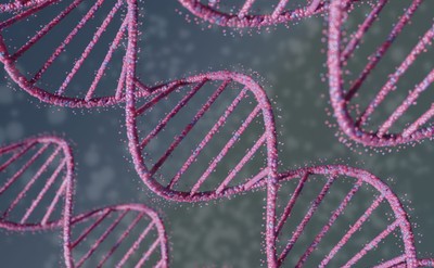 'Nowotworowy' gen Tob ma związek z depresją, strachem i lękiem