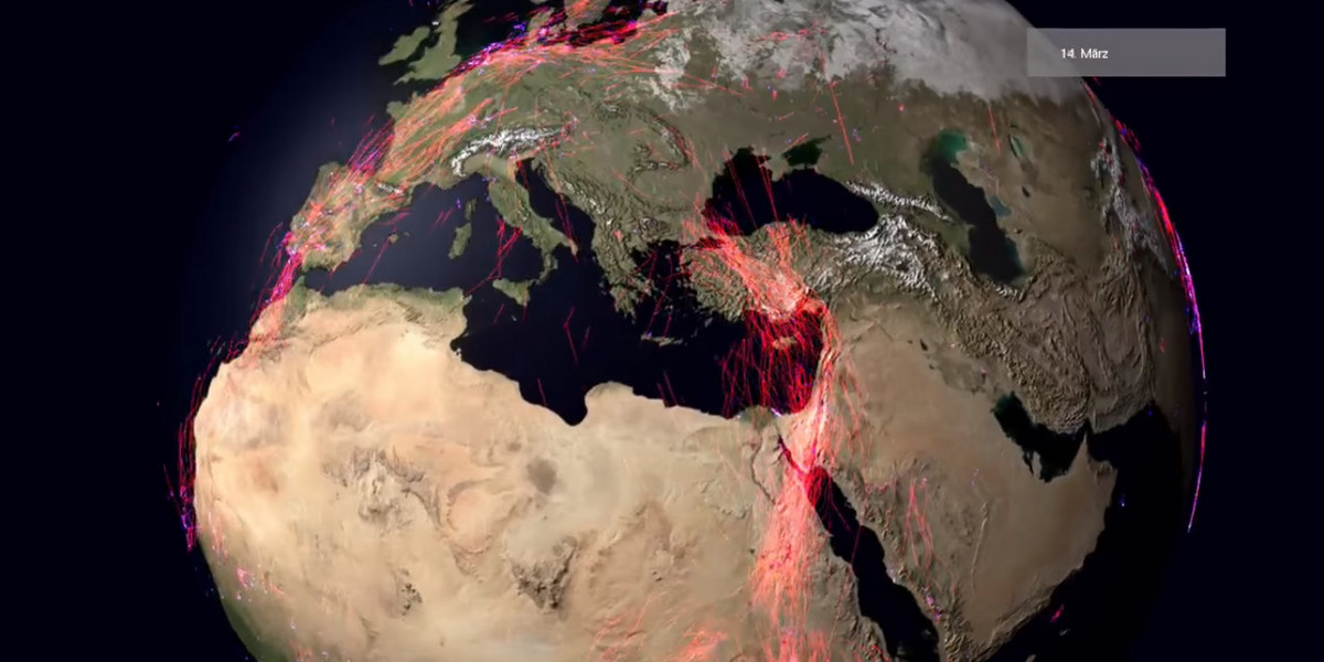 Migracje zwierząt zaprezentowano na animowanej mapie