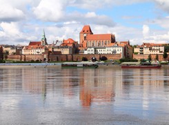 Spór o pomnik 'Rzeź Wołyńska' w Toruniu. 'Wielu zarzuca mu brutalność, a nawet wulgarność w wymowie'