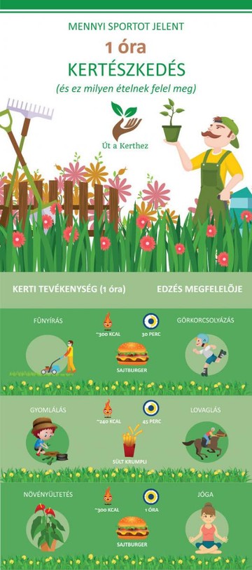 infografika600_01_1