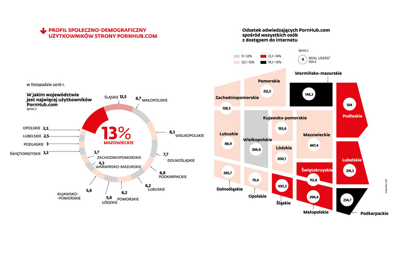 Profil społeczno-demograficzny użytkowników strony pornhub