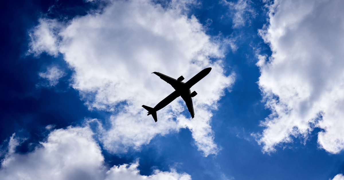 Migrant loses High Court bid as deportation flight takes off