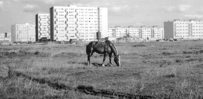 Uratowane ze śmietnika: Archiwalne zdjęcia Bielan i Żoliborza bezpieczne