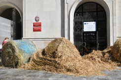 AGROunia protestuje przed Ministerstwem Rolnictwa