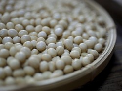 Nieznane działanie soi: nowy eliksir młodości!