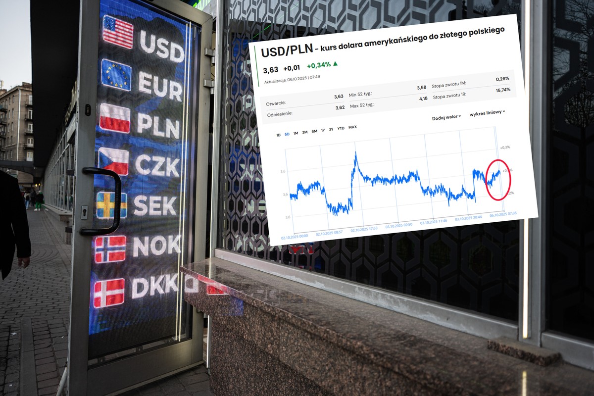 Złoty traci swoją siłę. To ma znaczenie dla polskiej gospodarki