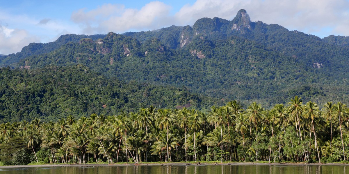 wyspa-bougainville-a-papua-nowa-gwinea-wybra-a-niepodleg-o-w