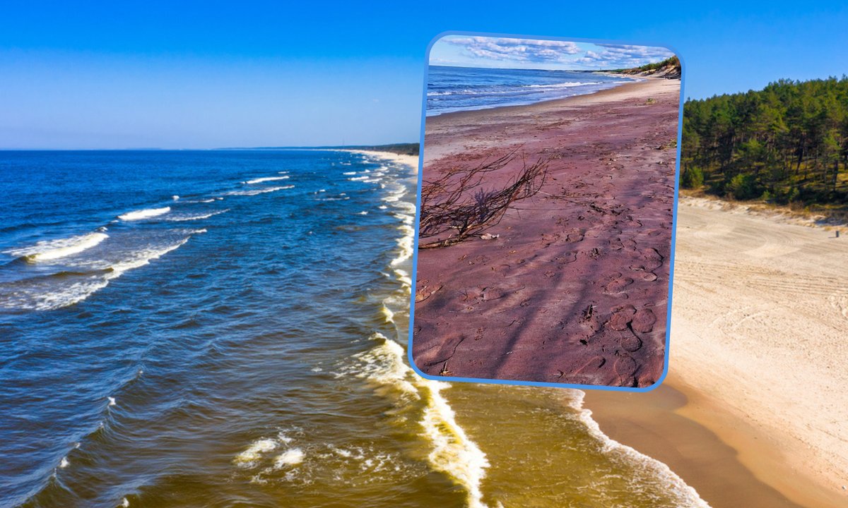 Popularna polska plaża zrobiła się fioletowa. Turyści przecierali oczy ze zdumienia