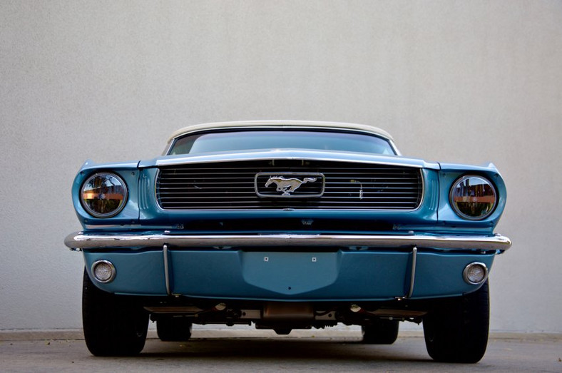 Mustang Revology Cars