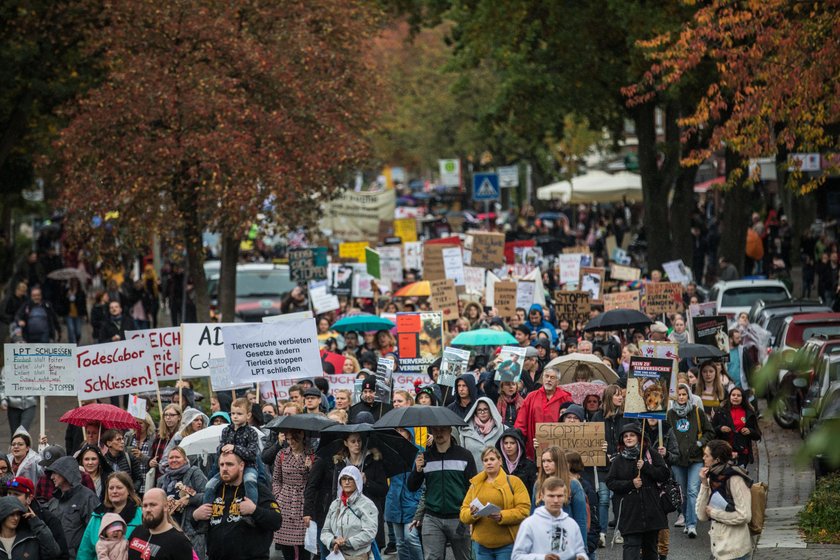 Protest przeciwko złemu traktowaniu zwierząt