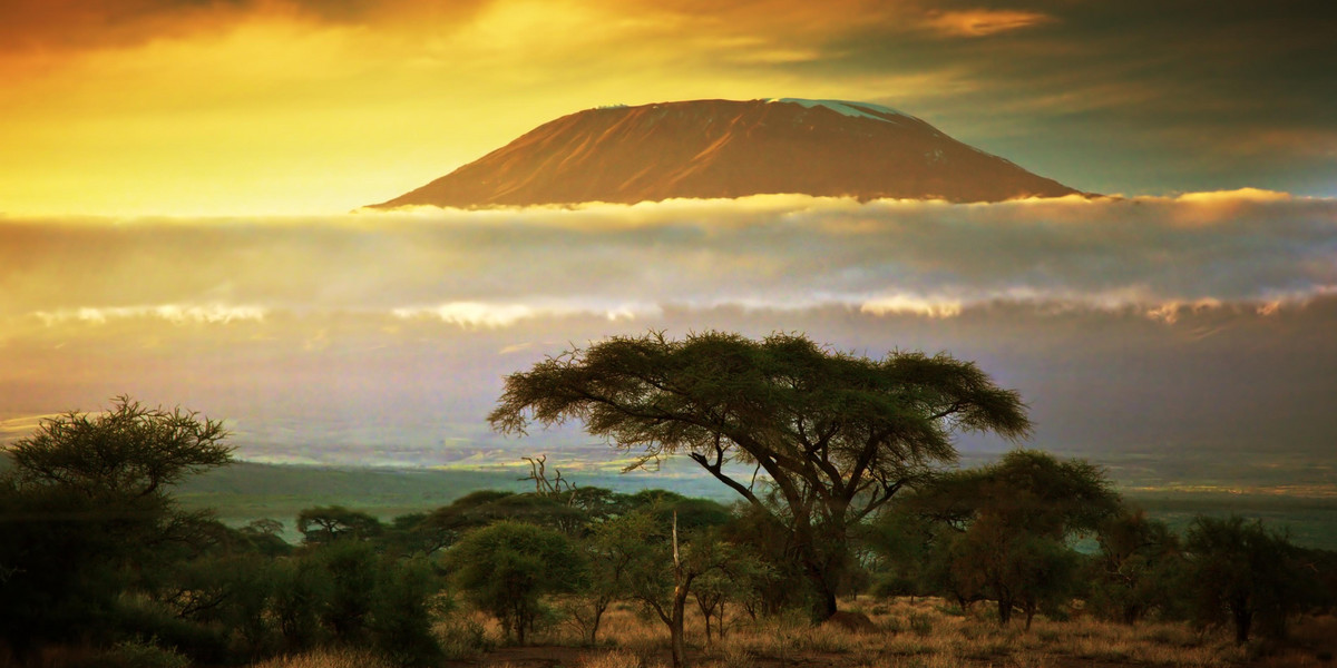 Kilimandżaro, gora, Afryka