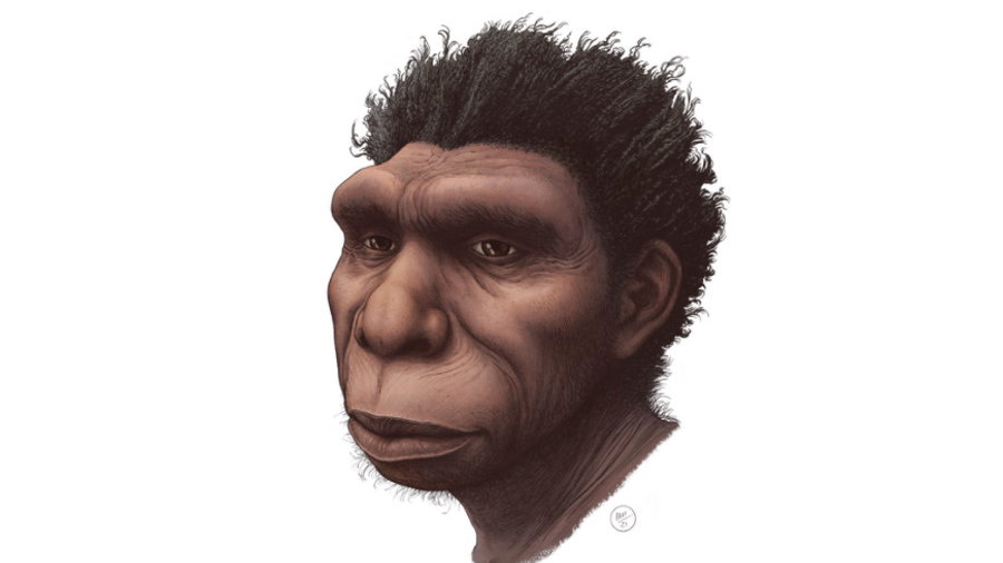 Homo bodoensis - bezpośredni przodek współczesnego człowieka, fot. Ettore Mazza