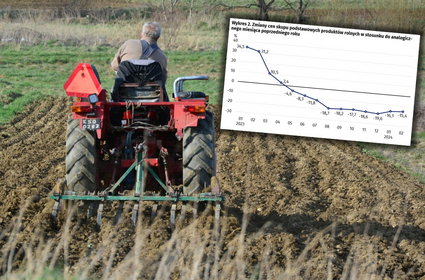 Ostre spadki cen produktów rolnych. Tylko w jednym przypadku duży wzrost