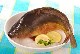 Karp też ma swoje prawa