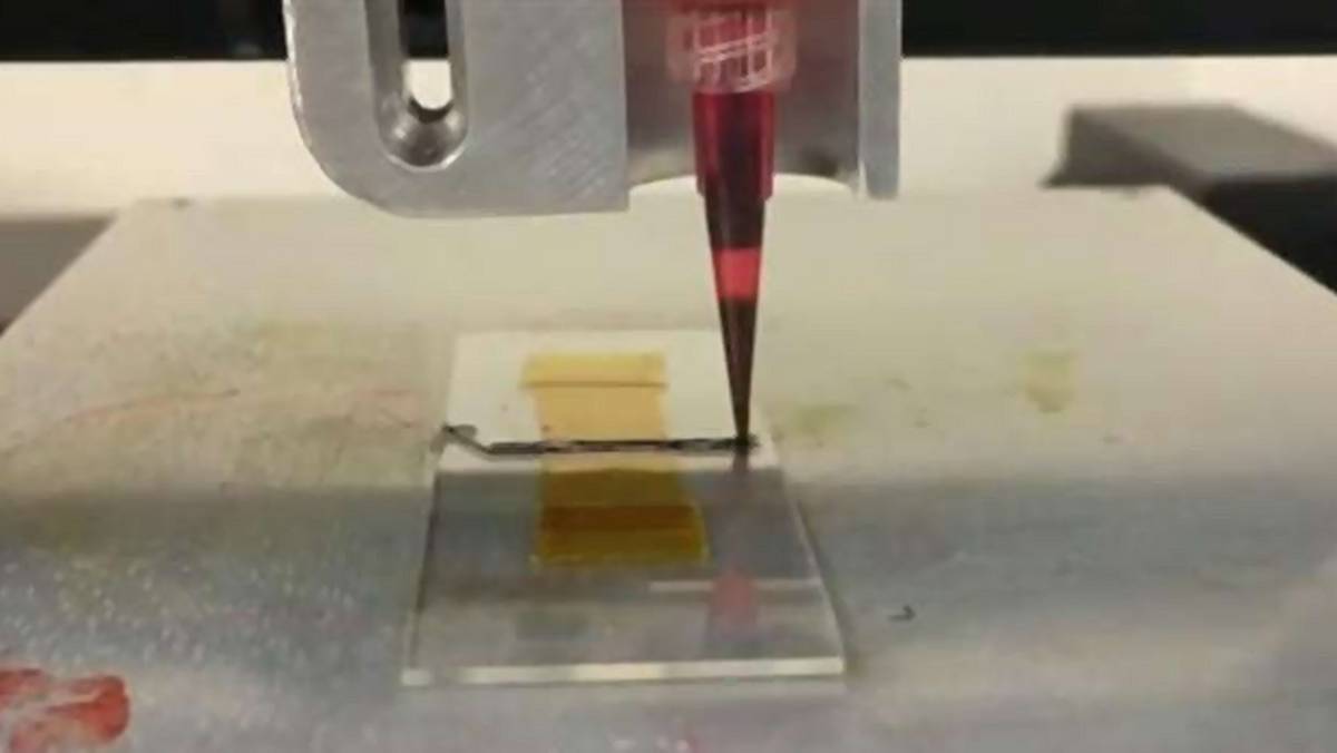 Tissue Scribe – biodrukarka 3D za 999 dolarów