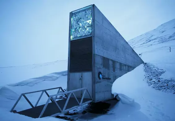 Sekrety Svalbard. Jeśli nastąpi katastrofa, to, co kryje Arktyka pozwoli ocalić ludzkość