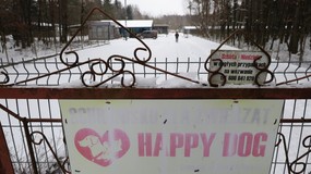 Schronisko w Sobolewie zamknięte: „Nie będzie taryfy ulgowej”