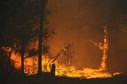 USA TEXAS WILDFIRES