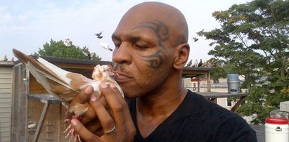 Tak absurdalne, że może być prawdą. Mike Tyson przyleciał do Polski po gołębie!