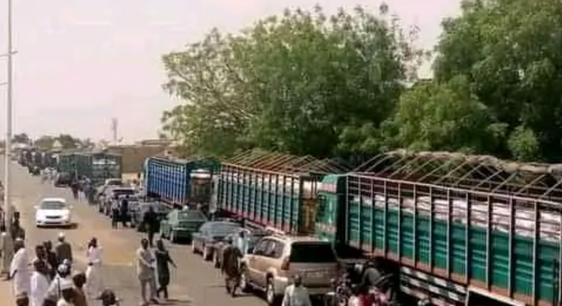 Zamfara Senator donates 240 trucks of food items to fasting Muslims.