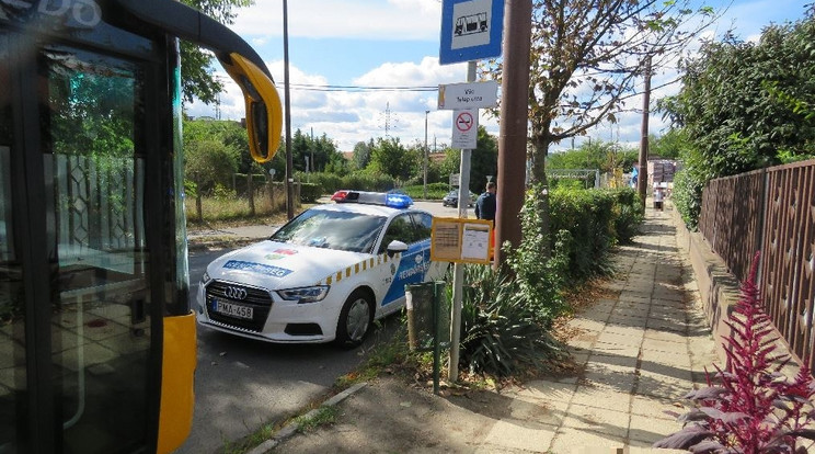 Garázdaság miatt állítottak elő egy nőt /Fotó: Police