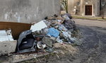 Polsce grozi utonięcie w śmieciach przez koronawirusa