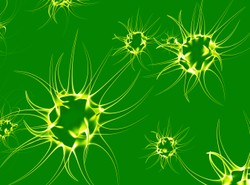 Ta bakteria mogłaby pochodzić z Marsa