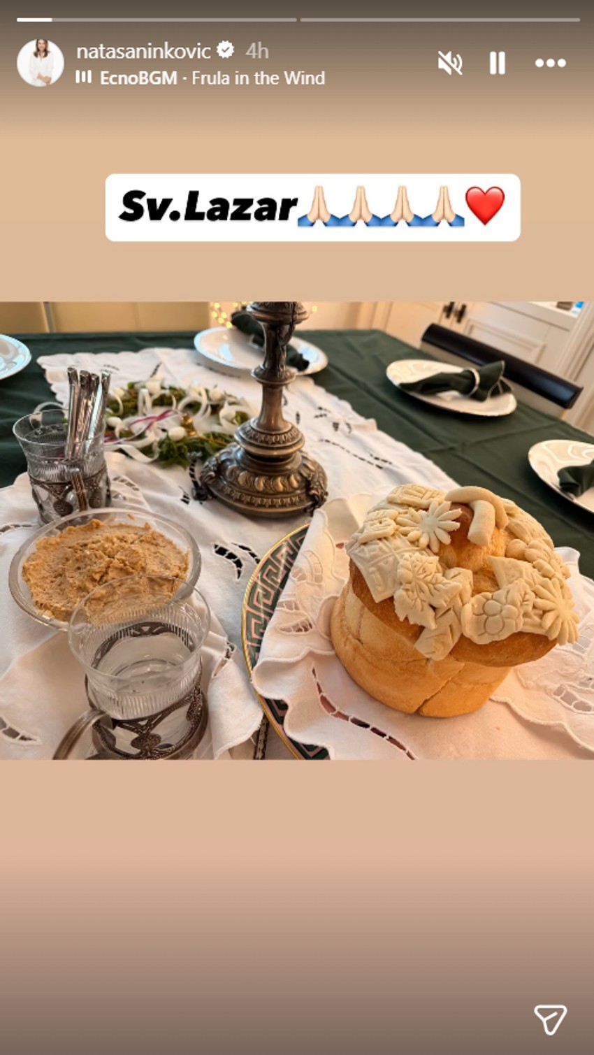 Nataša Ninković, objava