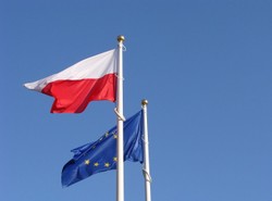 &quot;Nie było takiej bzdury, której by nie powiedzieli&quot;. Eurosceptycy 10 lat temu