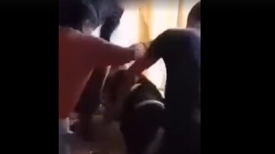 Brutális videó kering a neten: ököllel verték össze a diáktársukat a nagykónyi iskolában, senki nem segített a szegény fiúnak