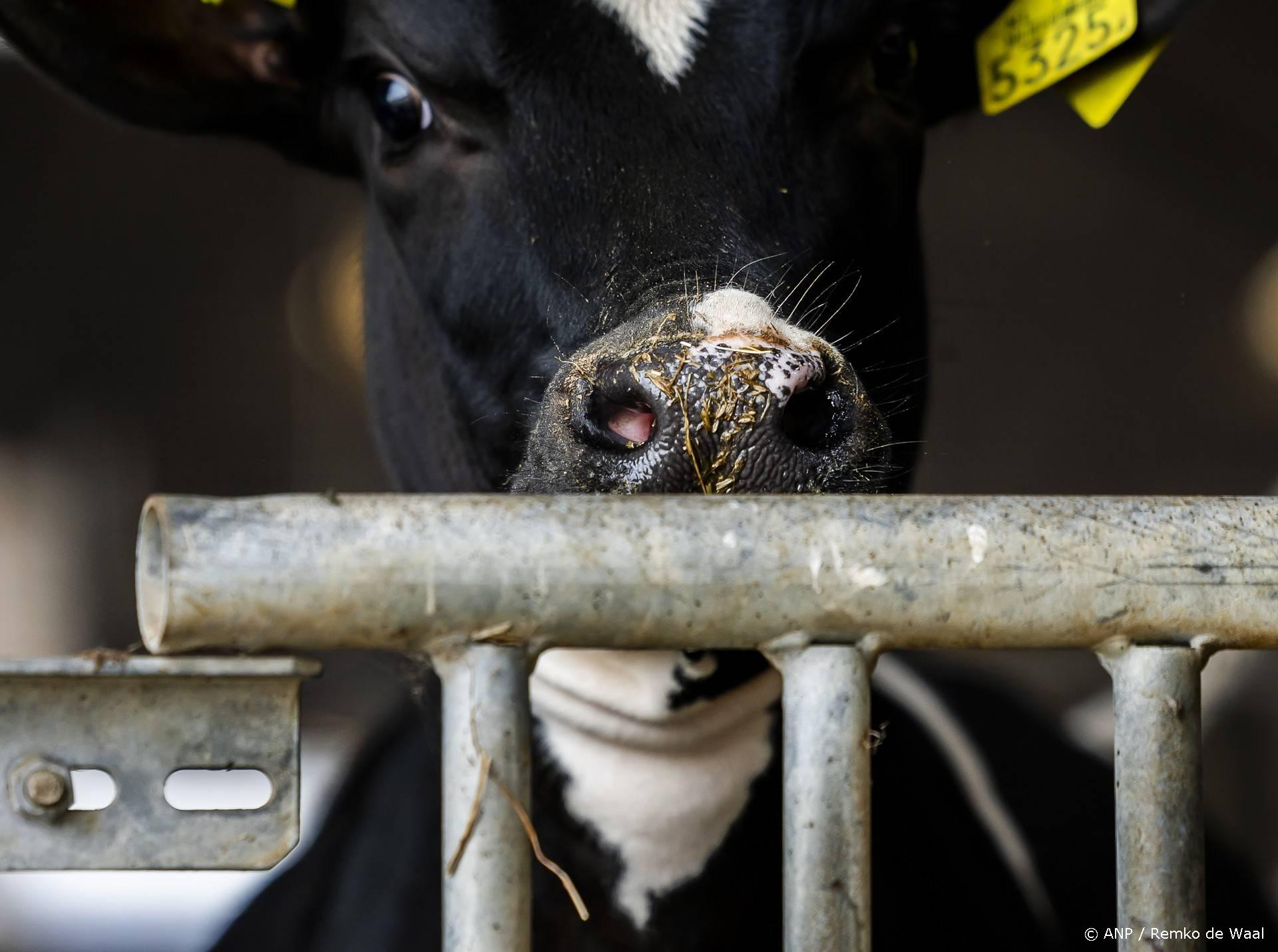 Twee mannen opgepakt voor dagelijks bedreigen van een boer in Molenlanden