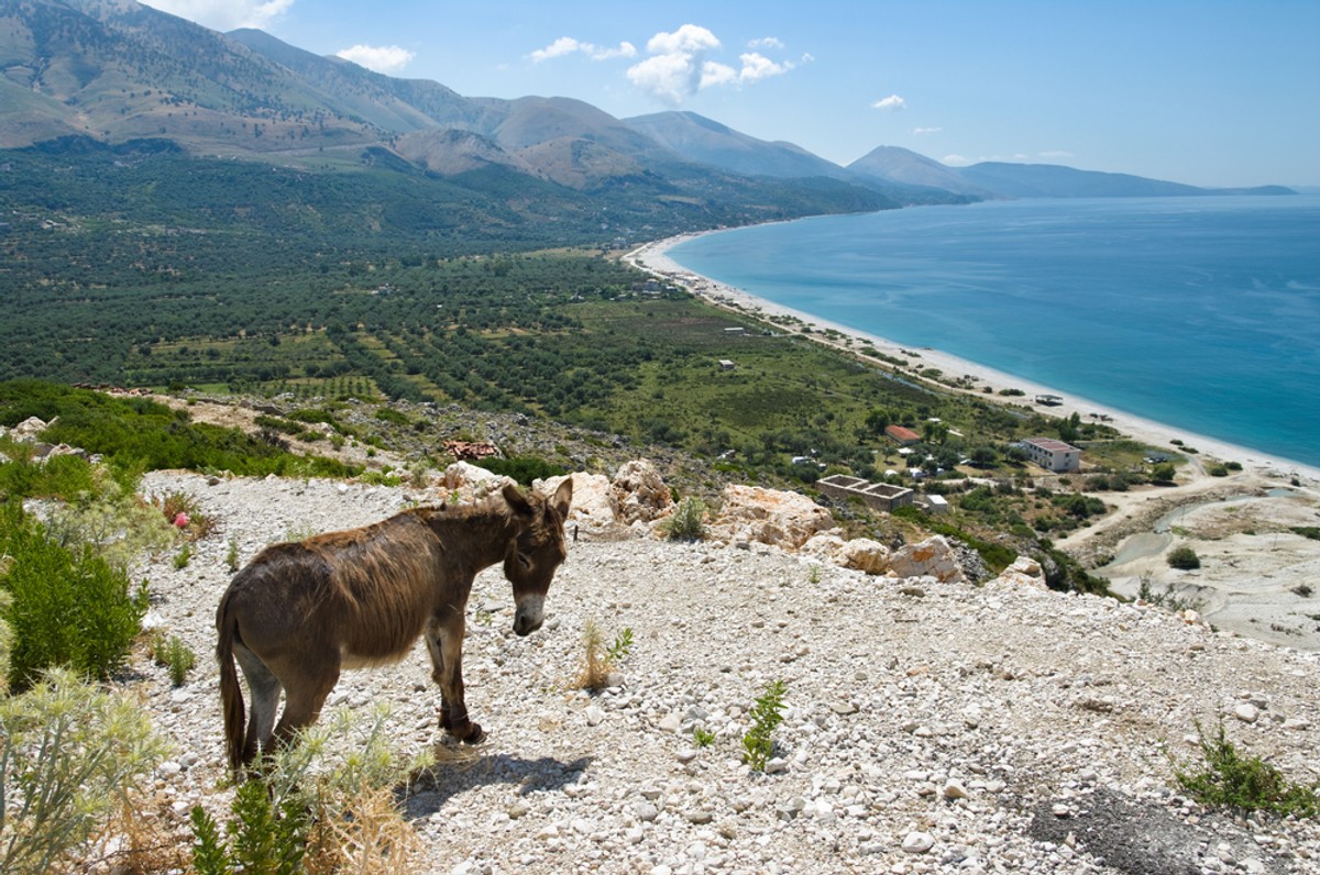 Albania, Bałkany