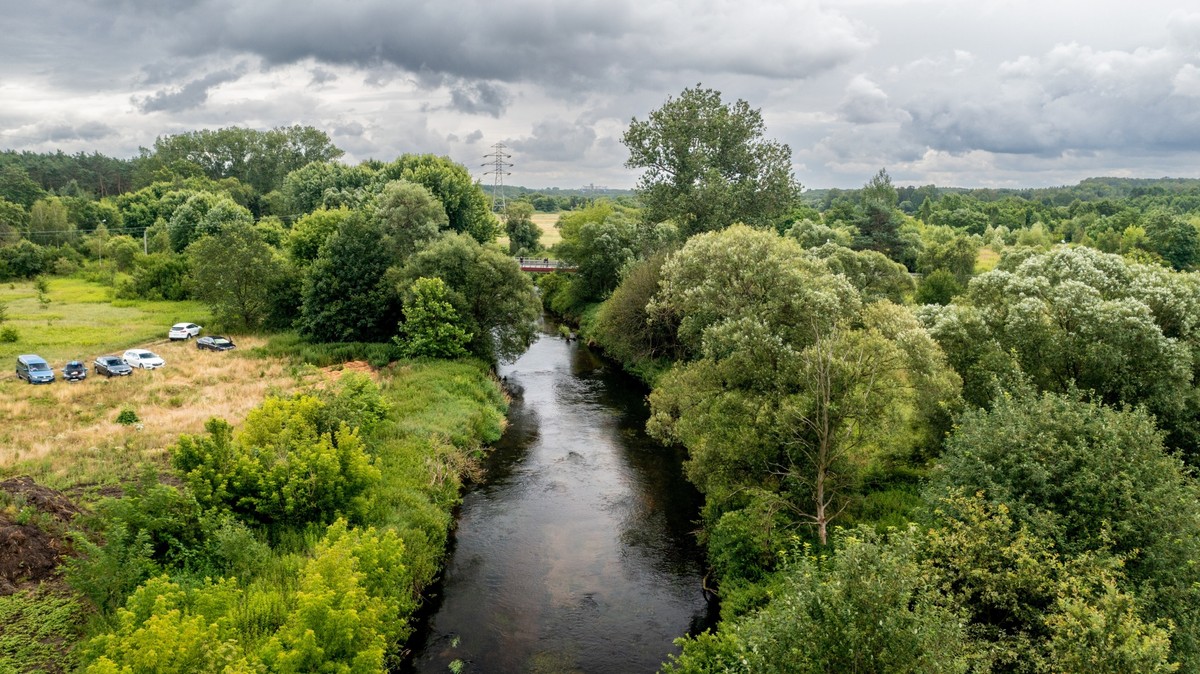 Rzeka Ner