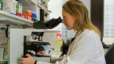 test-na-raka-jelita-grubego-cena-objawy