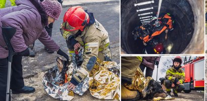 Dramatyczna walka o ocalenie psa! Nasza Pipi wpadła do studzienki