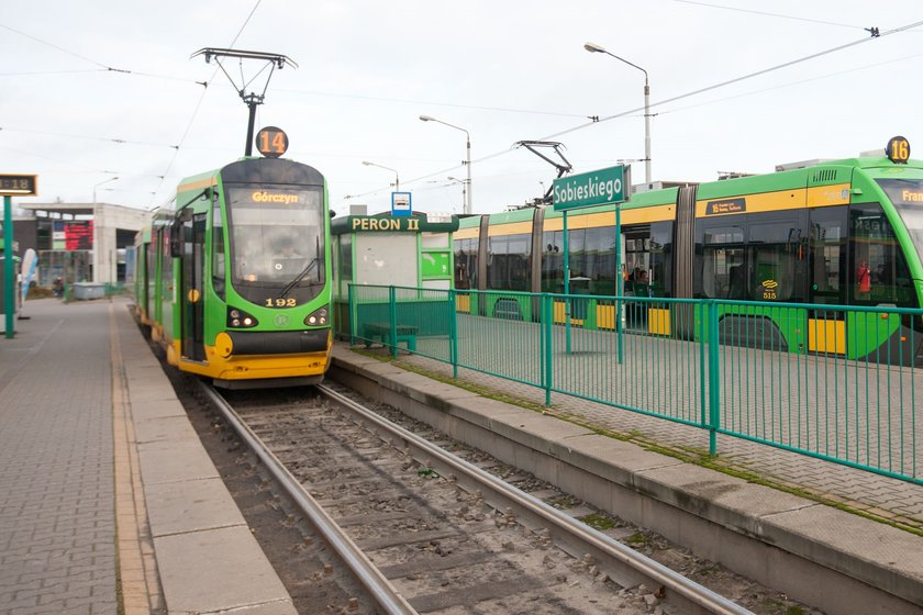 Dzięki aplikacji GoPay można kupić bilety ZTM Poznań