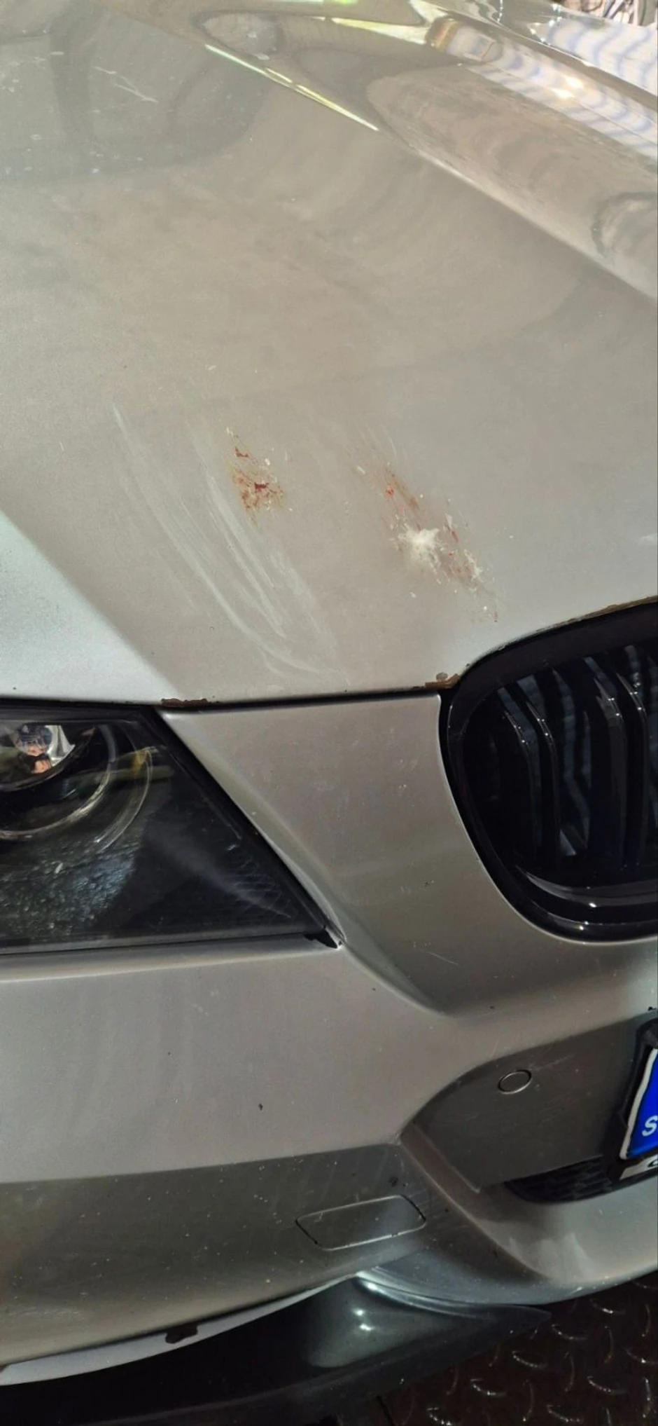 Tragovi udarca divlje patke na Obrenovačkom putu