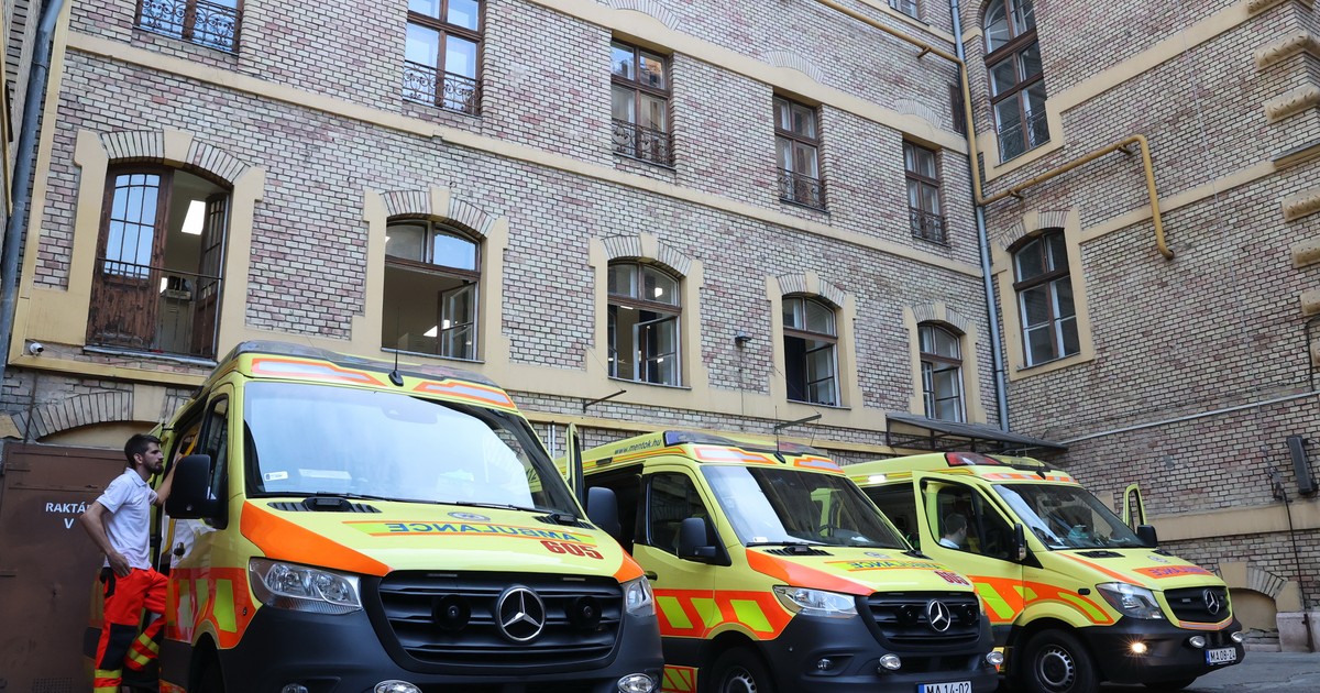 Rendszerszintű problémákról beszél a mentődolgozók szövetsége - Győrfi Pál cáfol