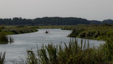 Tragiczny finał poszukiwań 16-latka. Nurkowie odnaleźli ciało