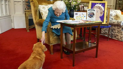 Imádott kutyái társaságában hunyt el II. Erzsébet: az állatok az utolsó pillanatig őrizték halálos ágyán a királynőt