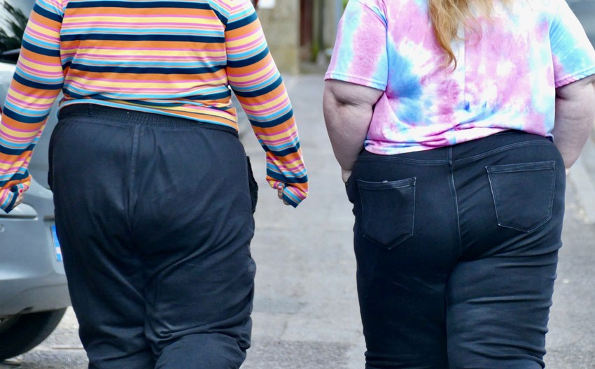 31 odsto švajcarske populacije starije od 15 godina imao je prekomernu težinu, a 12 odsto je bilo ekstremno gojazno.