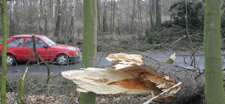 Wichura zabiła kierowcę, są też ranni