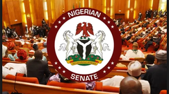 Senate seeks end to maltreatment of Nigerians travelling to Ghana