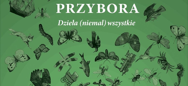 Książka prezentem na ostatnią chwilę? PREZENTY dla książkowych moli