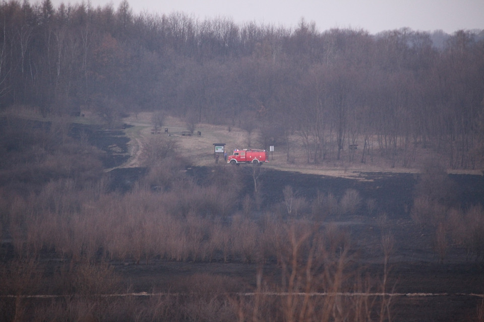 Pożar traw na krakowskim Ruczaju, Fot. Łukasz Boroń/Daj znać!