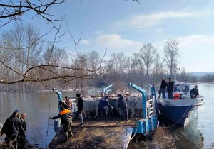 Spasavanje stoke sa Krčedinske ade