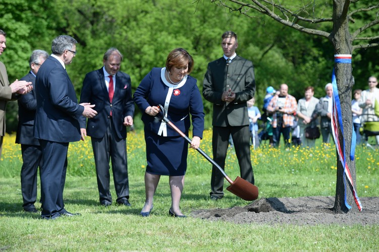 Sadzenie Dębu Wolności