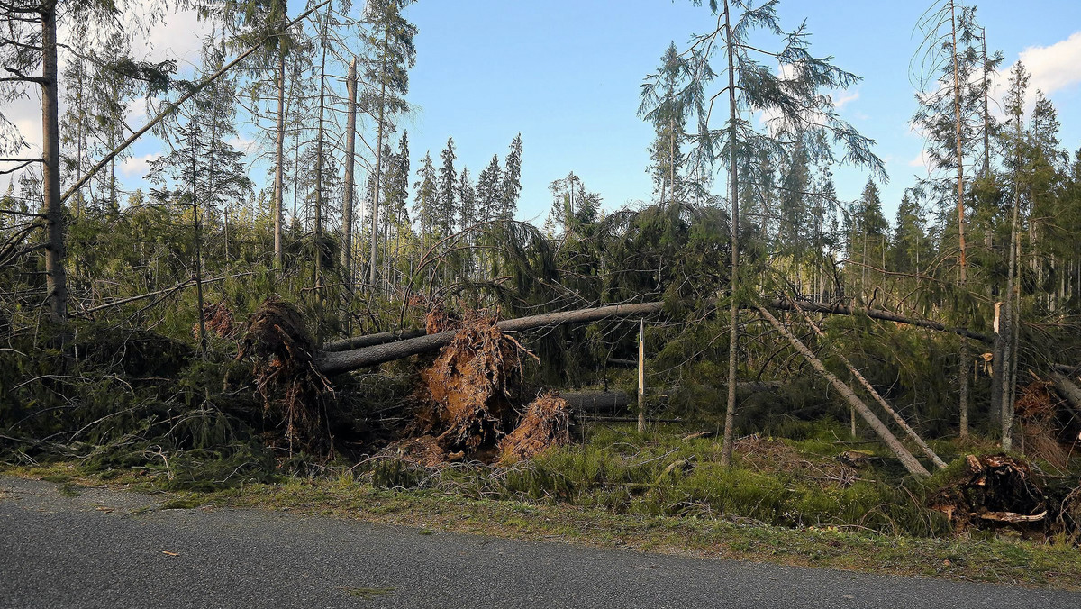 Silny wiatr, w strefie nadmorskiej w porywach nawet do 90 km/h na godzinę, wieje od godzin popołudniowych w Pomorskiem. W wyniku uszkodzeń linii energetycznych bez prądu jest ok. czterech tysięcy odbiorców.